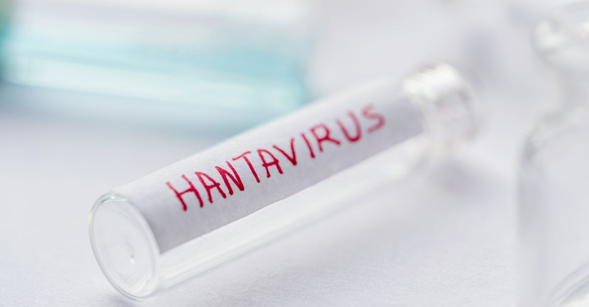Una provetta con la scritta "Hantavirus"