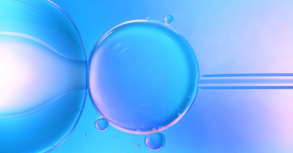 fecondazione in vitro