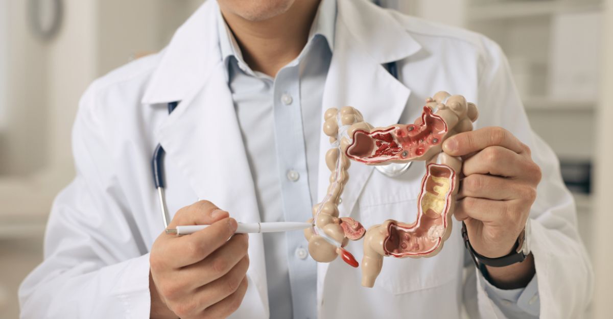 Un medico in camice bianco mostra un modello anatomico dettagliato del colon e dell'intestino crasso