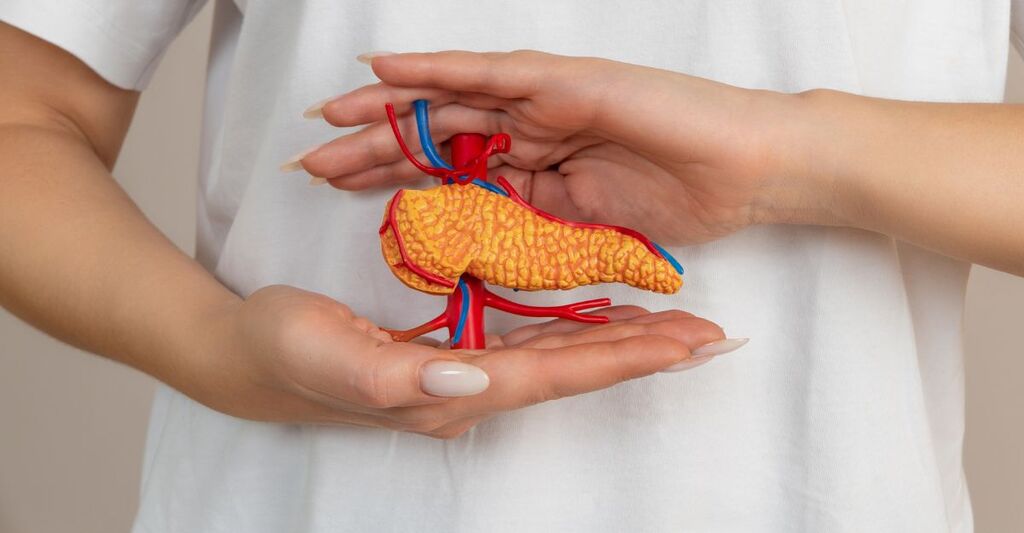 uomo tiene in mano un modellino di pancreas