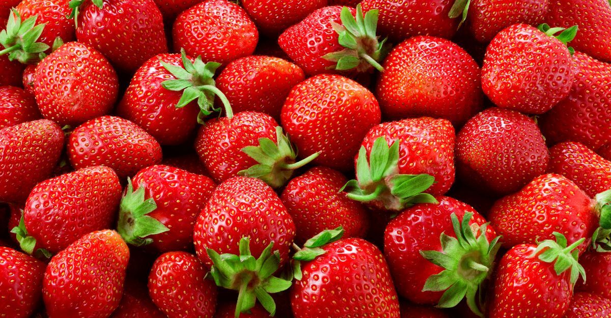 Delle fragole