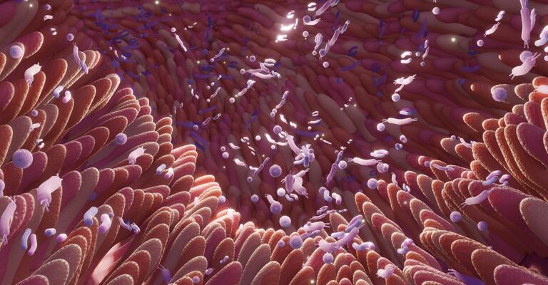 Microbiota intestinale