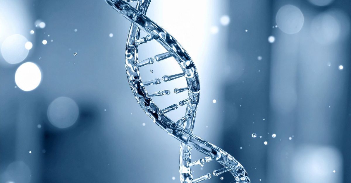 Una ricostruzione in 3D di una molecola di DNA
