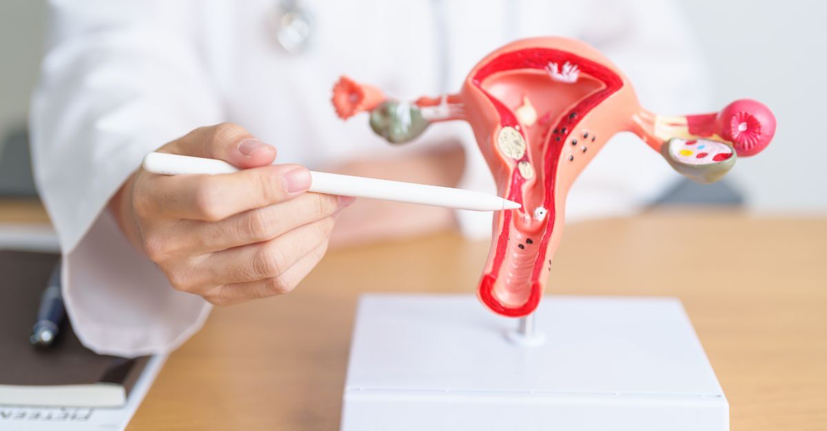 Un medico indica con una penna bianca una sezione di un modello anatomico del sistema riproduttivo femminile (utero e ovaie) poggiato su una scrivania