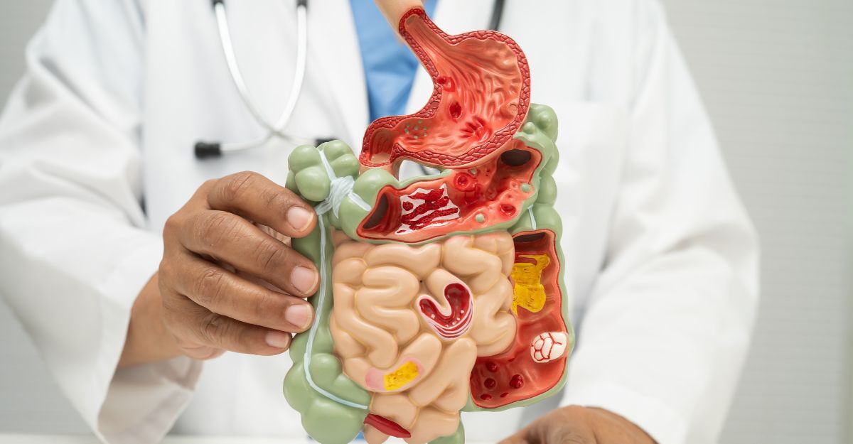 Un medico maneggia il modellino 3D di un intestino