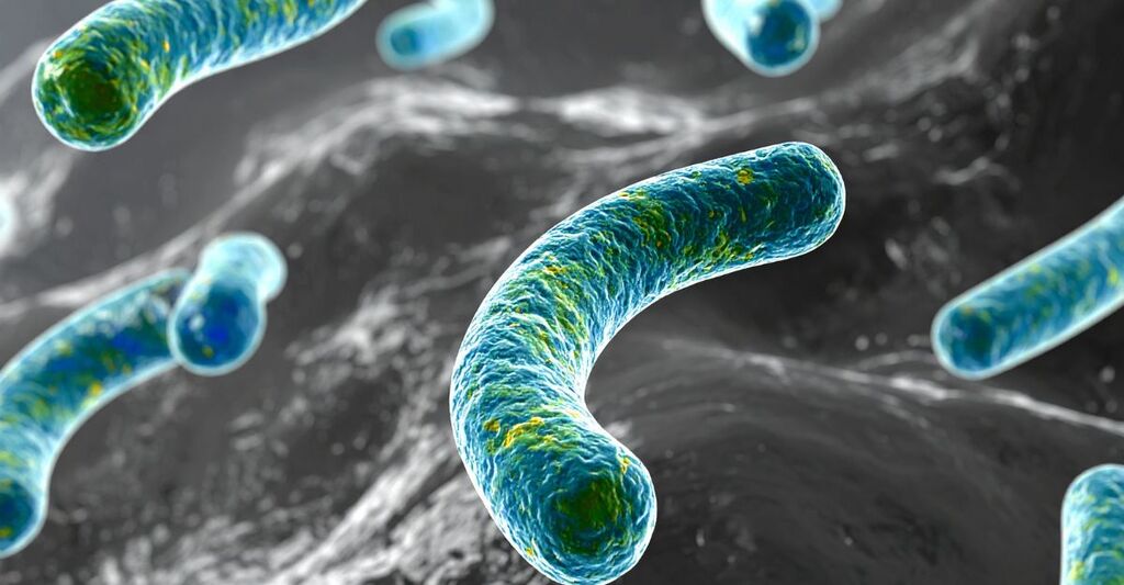 L'immagine in 3D di un batterio