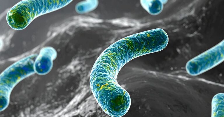 L'immagine in 3D di un batterio