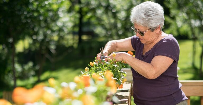 signora di mezza età fa giardinaggio