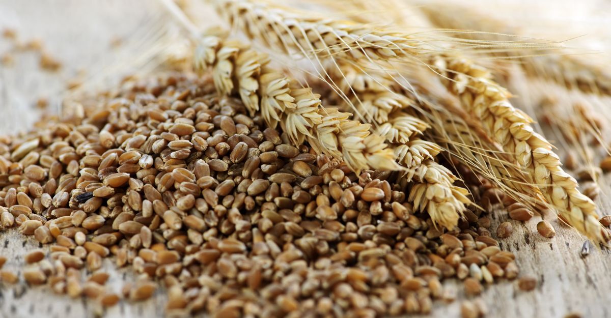 cereale integrale