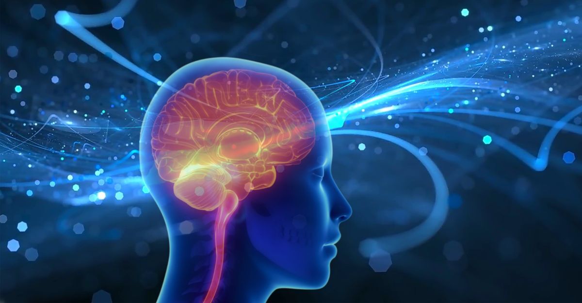 L'immagine in 3D di un cervello