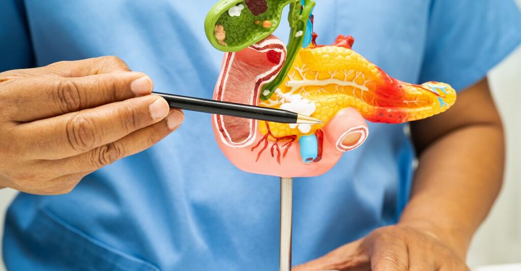 medico mostra plastico del pancreas