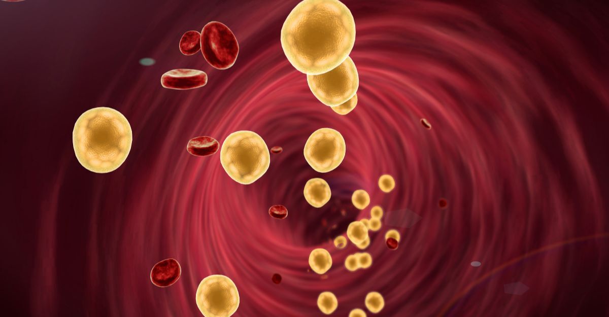 grafica di colesterolo nelle arterie