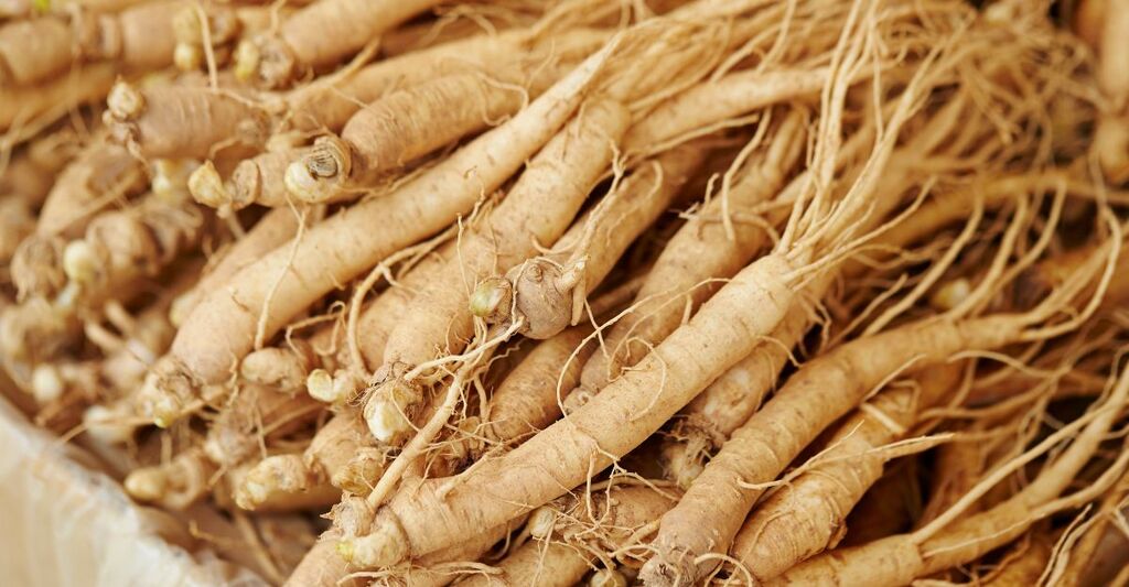 Ginseng