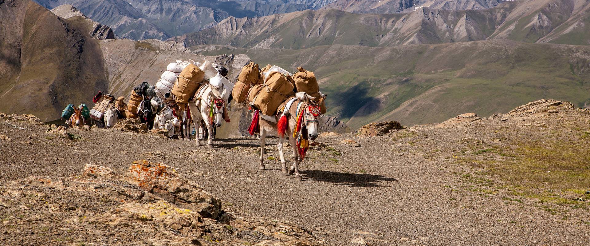 The case for community-led peacebuilding in Nepal | Peace Insight