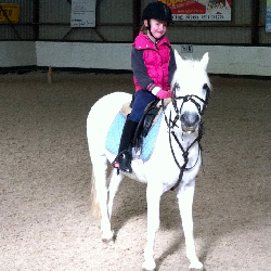 Hoe maak je een enquete