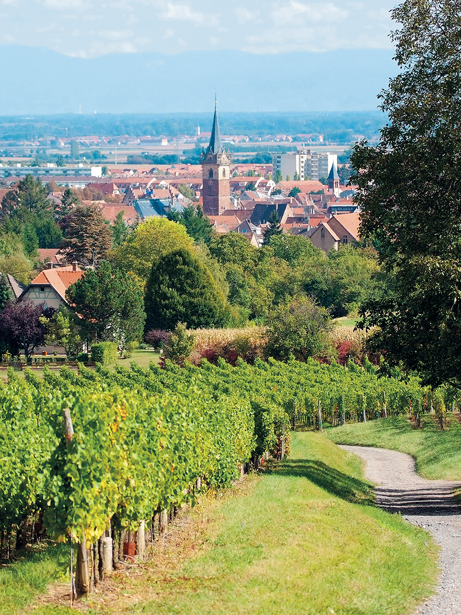 Village Vacances Alsace
