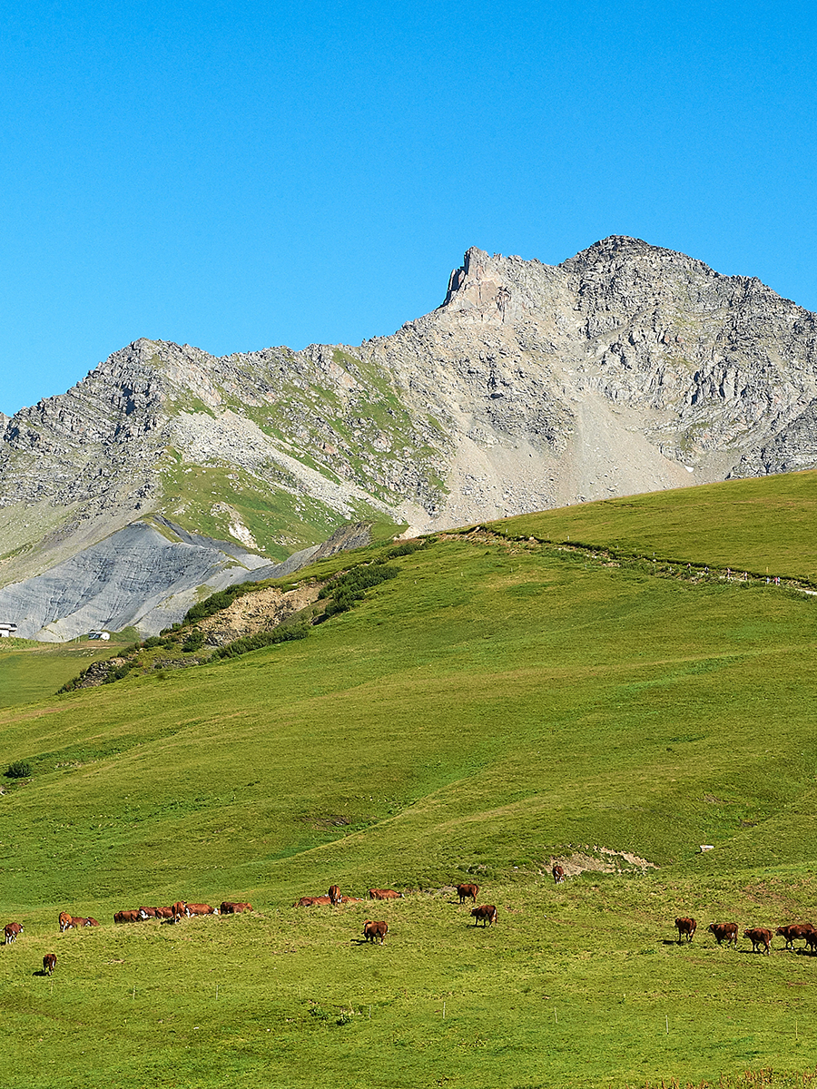 Village Vacances Rhône-Alpes