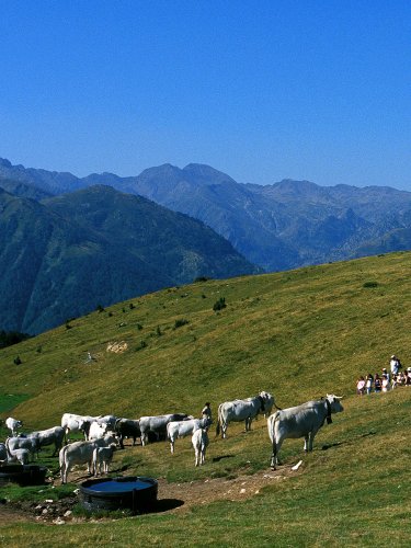 Village Vacances Midi-Pyrénées
