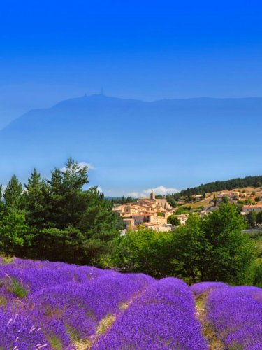 Village Vacances Provence-Alpes-Côte-d'Azur