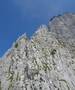 Adlerspitzli