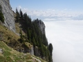 Geissstock
