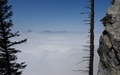 Rigi