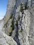 Ruchband