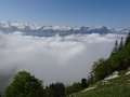 Uitzicht richting Fronalpstock