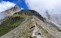 Afdaling van de Rheinwaldhorn