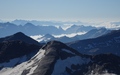 Puntone del Fracion, Vogelberg