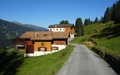 Alpenrösli