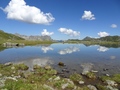 Bi den Seewjenen