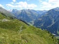 Canardhorn