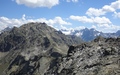 Schildflue en Piz Buin
