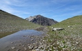 Bärentällisee, Chrachenhorn
