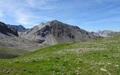 Chrachenhorn