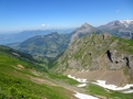 Bachflue