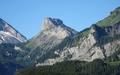 Gällihore
