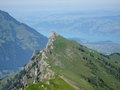 Gehrihore