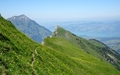 Gehrihore