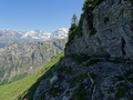 Gehrihore