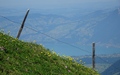 Thunersee vanop de Sattelhore