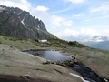 Saas