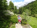 Aletschwald