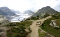 Grosser Aletschgletscher met schapen