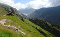Oberaletsch