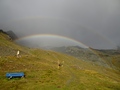 Regenboog