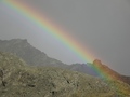 Regenboog