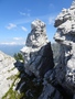 La Forbice