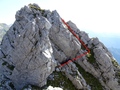 La Forbice